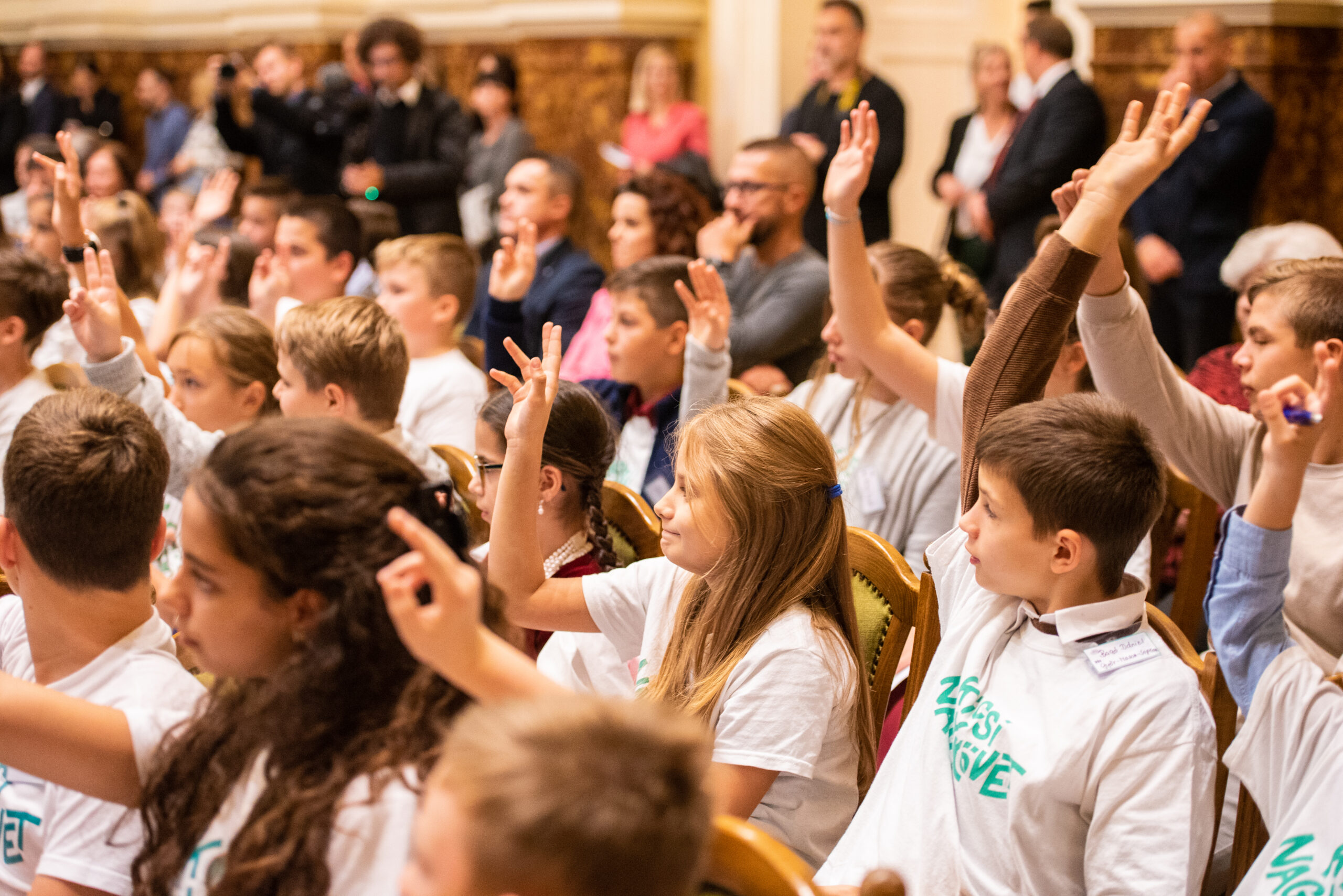 kisnagykovetek (256 of 419)